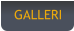 GALLERI